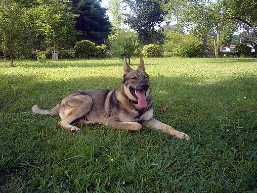 f096d7 0b51de7cb33f4e289495214d19dc974d