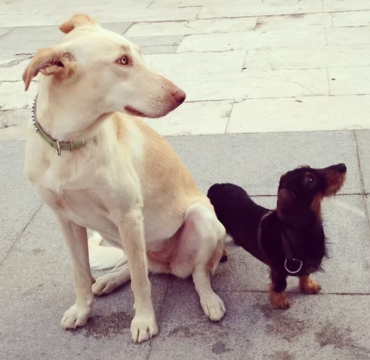 f096d7 616f1dc770f947e8ee646d79d681349d