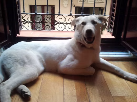 f096d7 905e8d47258fa8b4ce8b1e462ebbcd2b