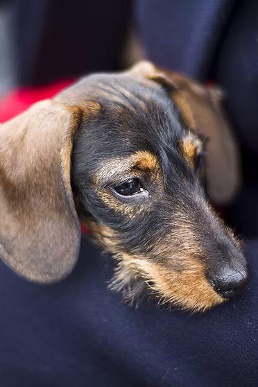 f096d7 b09d8394b04c2f8a8c2aa588d04fe159