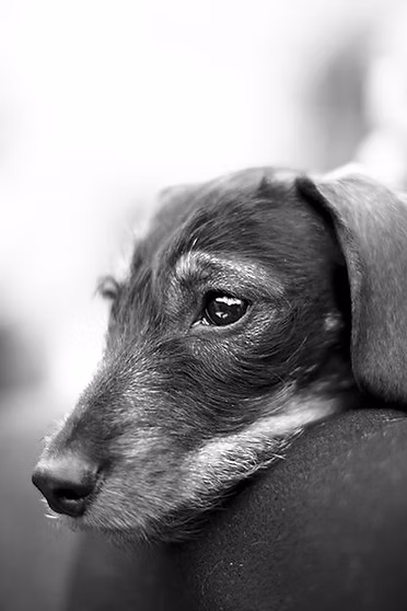 f096d7 caf64a52aa2d112664114c08e2eb2c2b