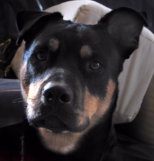 f096d7 e0374e6fe3e2f4bec652074e0f4f8694