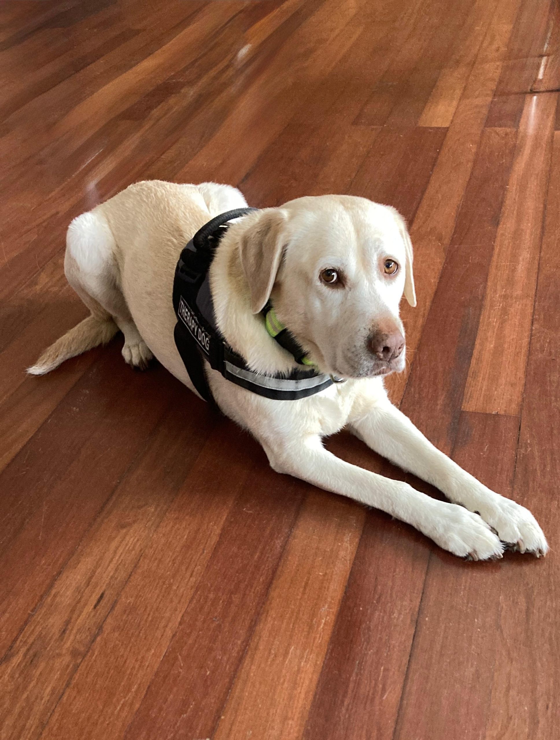 df2bca85 986a 4d97 9860 fe789583dac8 scaled